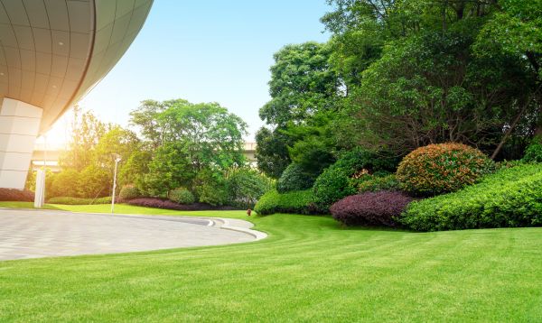 Cost of Commercial Lawn Mowing in Warner Robins