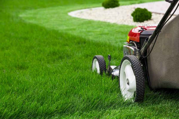 Lawn Cutting Service in Warner Robins