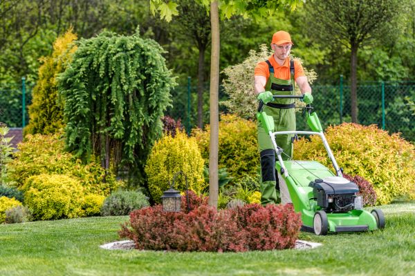 Yard Service in Warner Robins