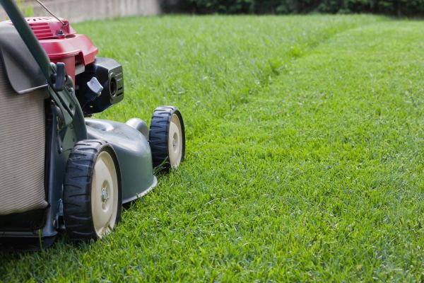 Residential Lawn Care in Warner Robins