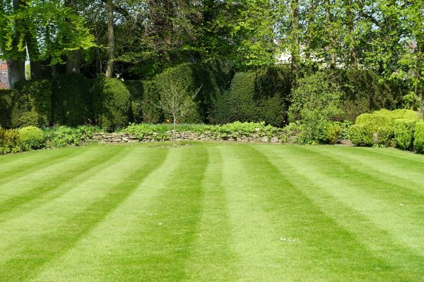 Grass Care Service in Warner Robins