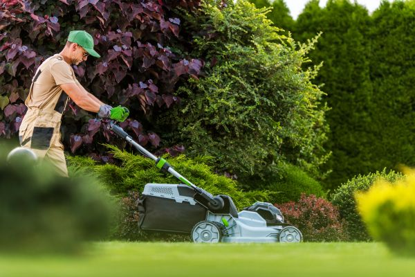 Lawn Management in Warner Robins