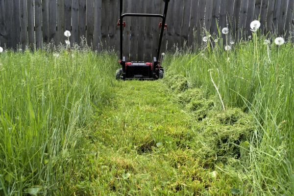 High Grass Mowing in Warner Robins
