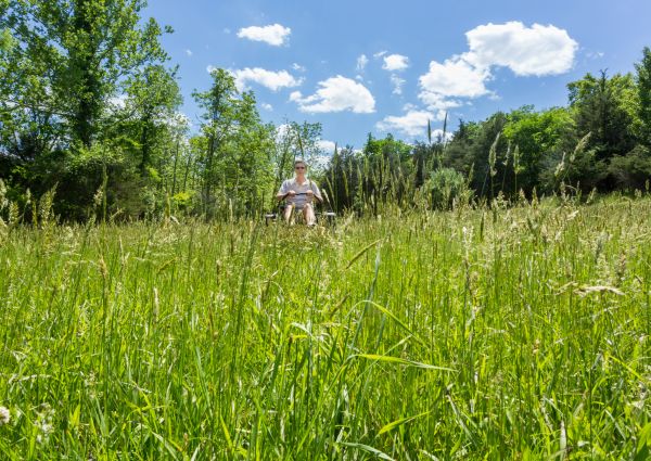 Long Grass Mowing in Warner Robins