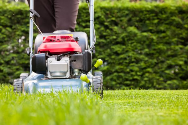 Cost of Grass Trimming Service in Warner Robins
