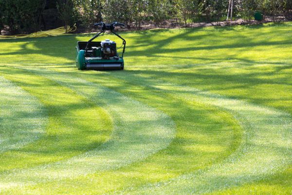 Cost of Business Lawn Mowing in Warner Robins