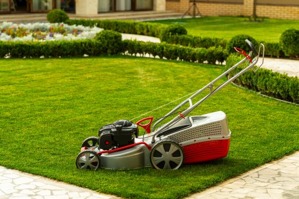 Cost of Business Grass Cutting in Warner Robins