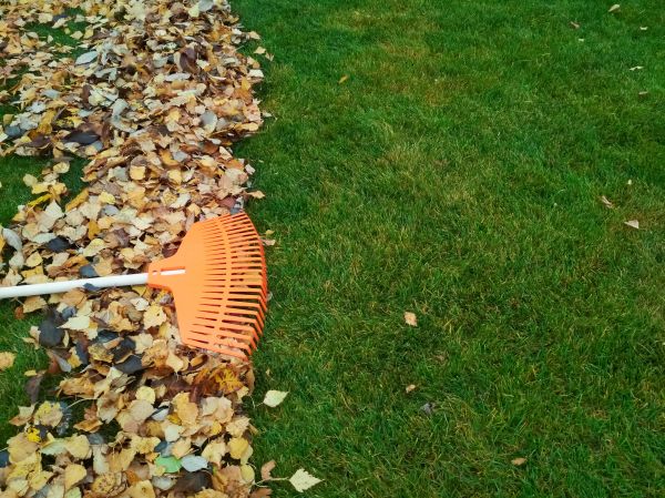 Fall Lawn Care in Warner Robins