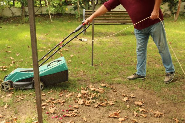 Leaves Mowing in Warner Robins