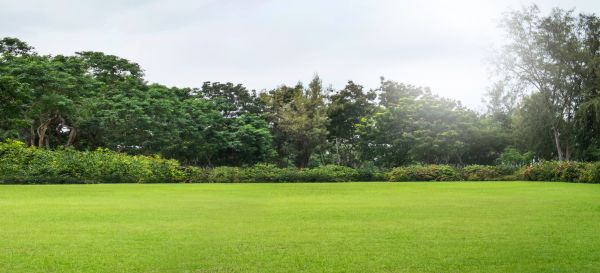 Cost of Golf Course Mowing in Warner Robins
