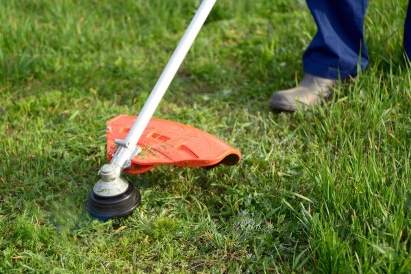 Cost of Lawn Weed Whacking in Warner Robins