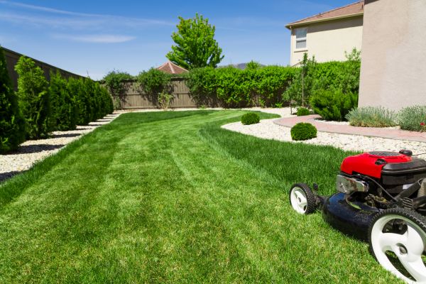 Residential Lawn Mowing in Warner Robins