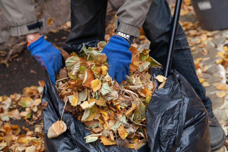 Bagging Fall Debris