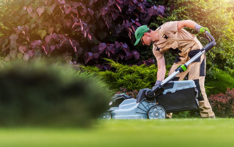 Home Lawn Maintenance