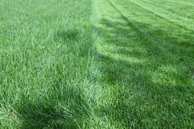 Lawn After Care