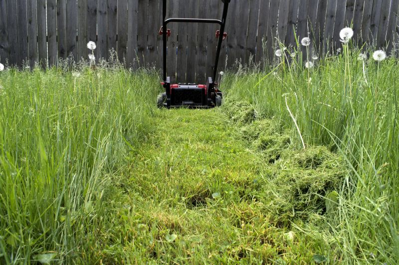 Summer Lawn Maintenance