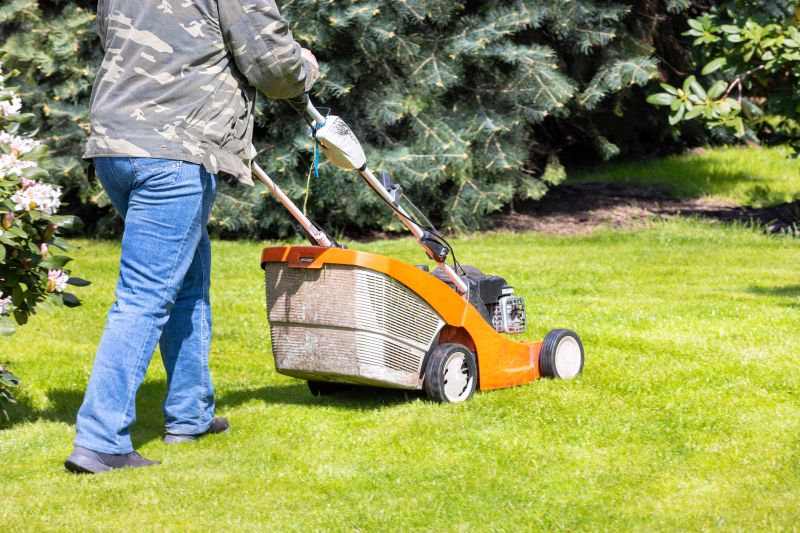 Spring Lawn Care